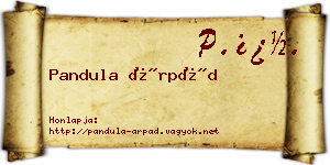 Pandula Árpád névjegykártya